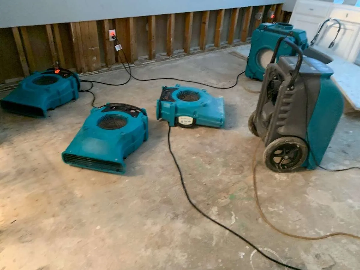 Odor Removal & Deodorization in Odenton, MD